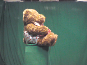 180 Degrees _ Picture 9 _ Valentines Day Teddy Bear.png